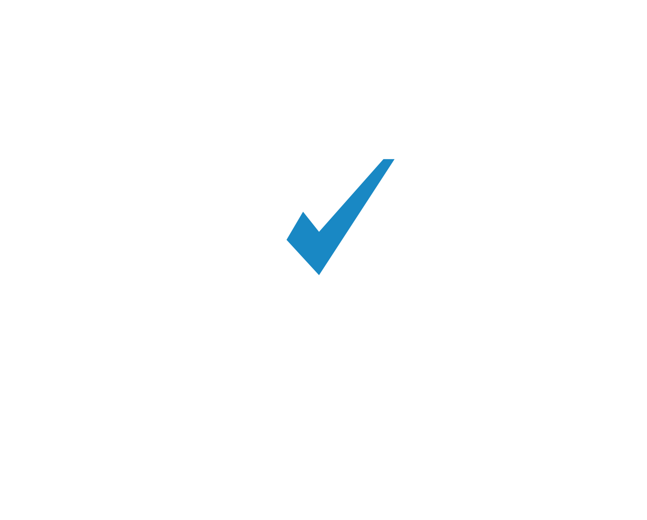 AccoonaIT